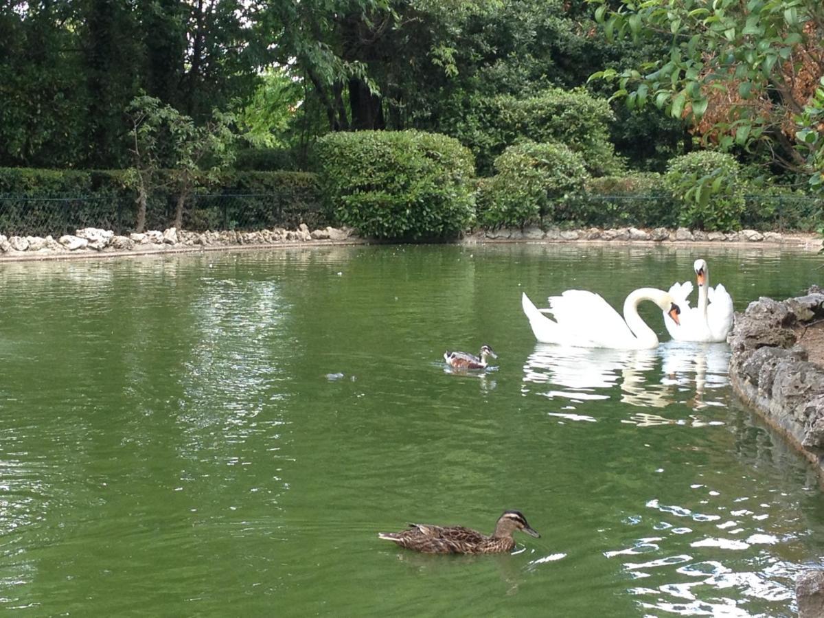 旅行者住宿加早餐旅馆 Olonzac 外观 照片